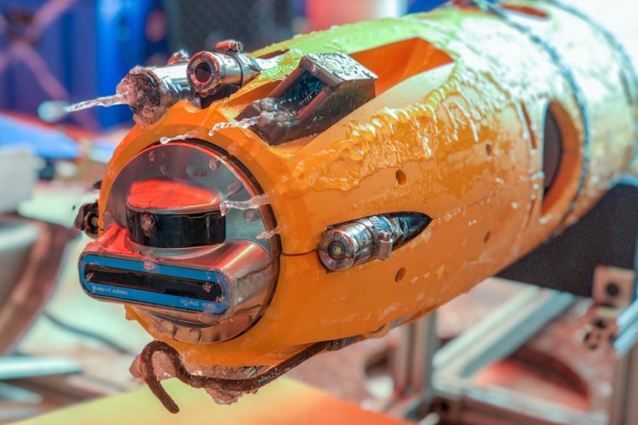 Orange tube-like machine covered with lice