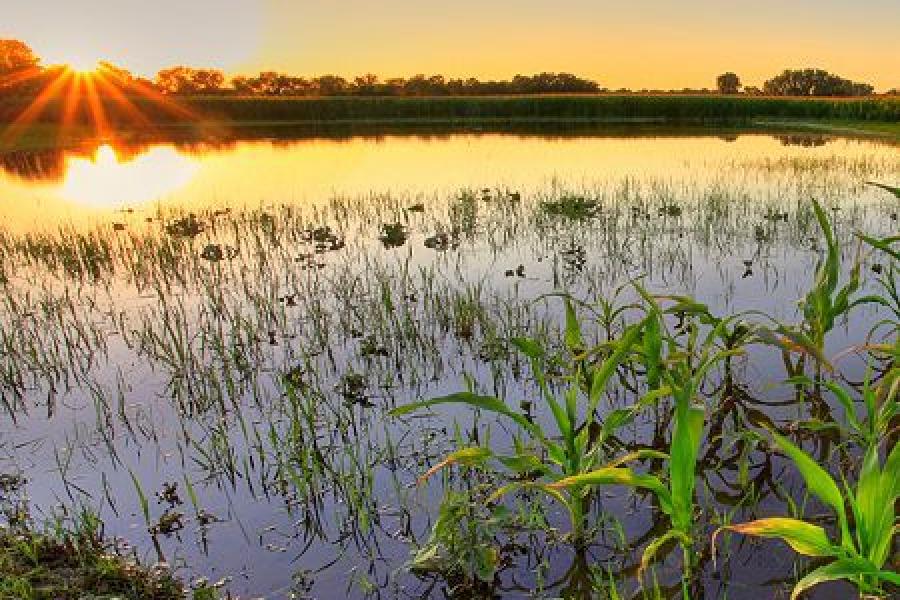 Sun rising over a flooded field