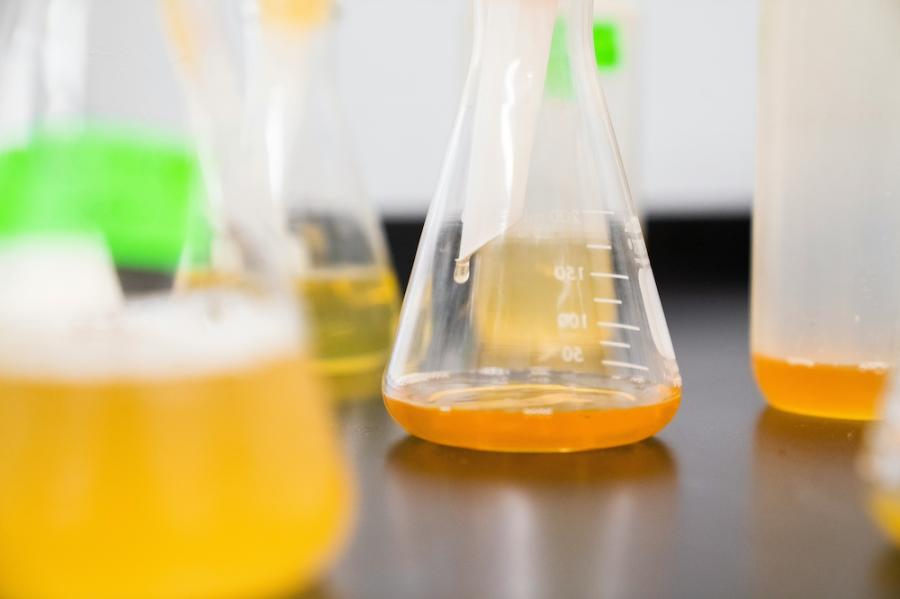 Tranparent flasks in a chemistry lab, with amounts of orange liquid