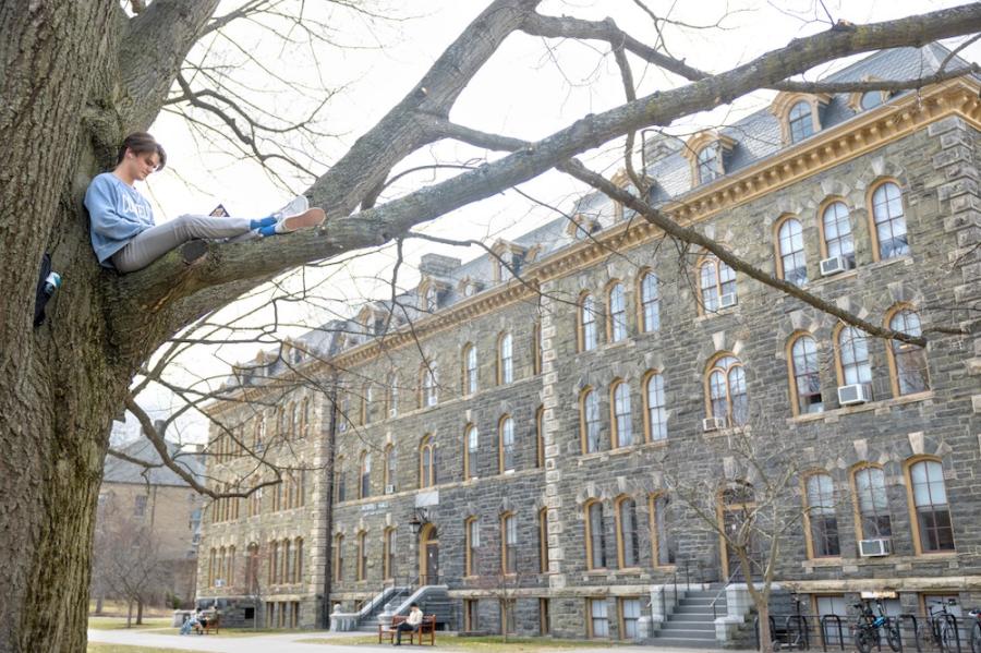 Person sitting high in a tree, reading a book with a large college building in the background