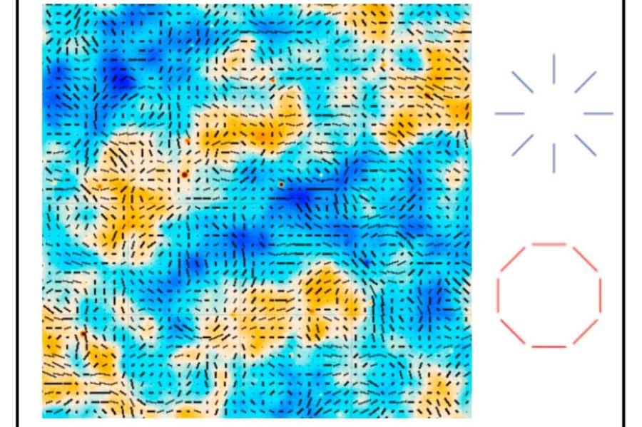 Patches of dark blue, turquoise and orange scattered on a grid of black broken lines, with an oxagonal and a star-shaped line drawing next to it.