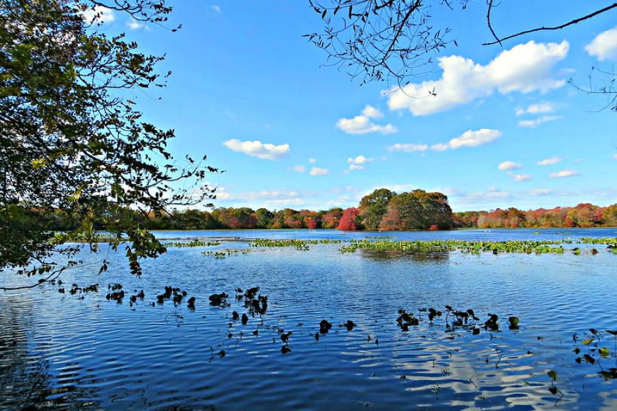 Lake in autumn 