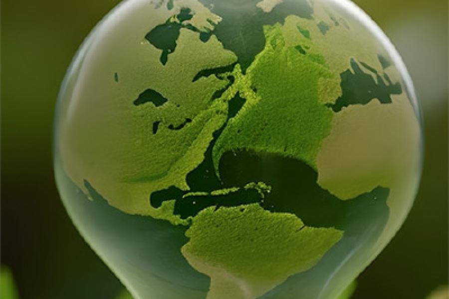 Light bulb decorated to show Earth's continents