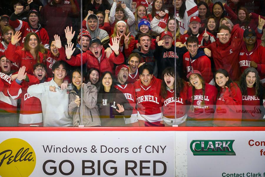 people at a hockey game