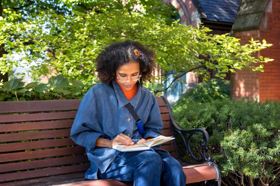 Person sitting on a bench under a tree, reading a book