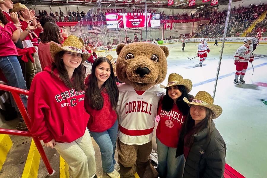 people at hockey game with Touchdown the Cornell bear