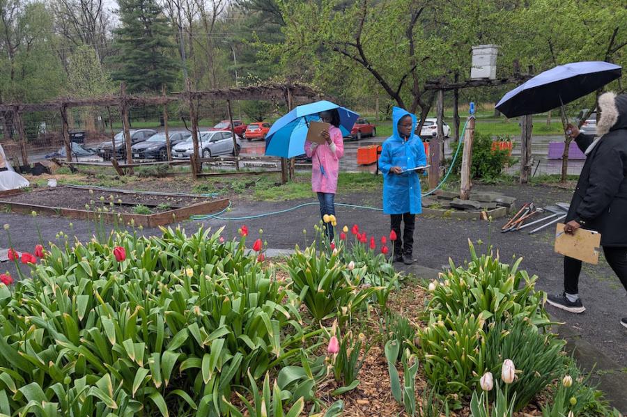 Two people in rain gear in a garden
