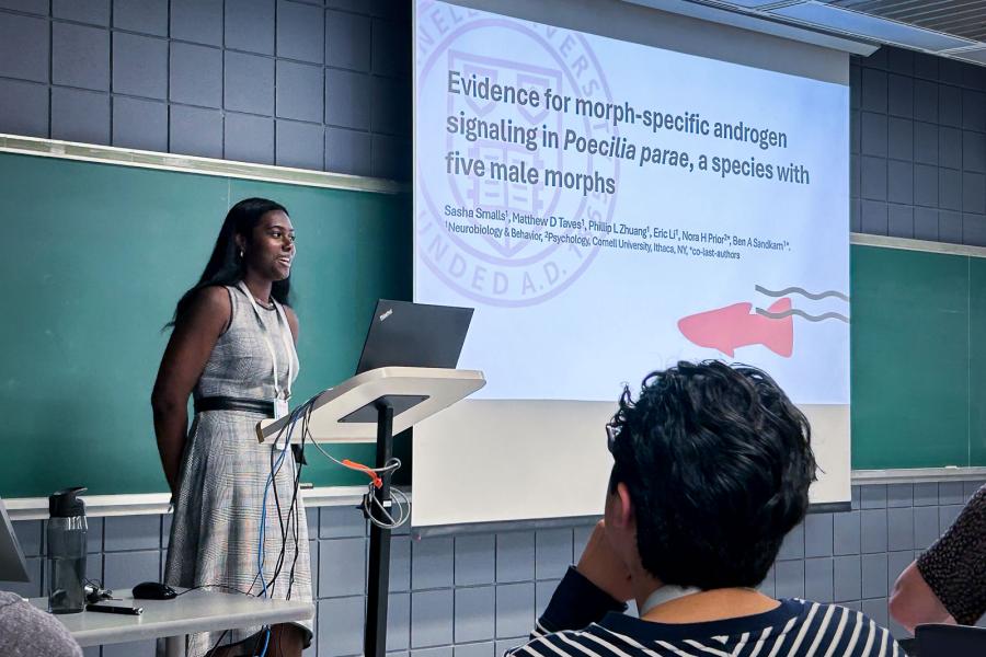person presenting research