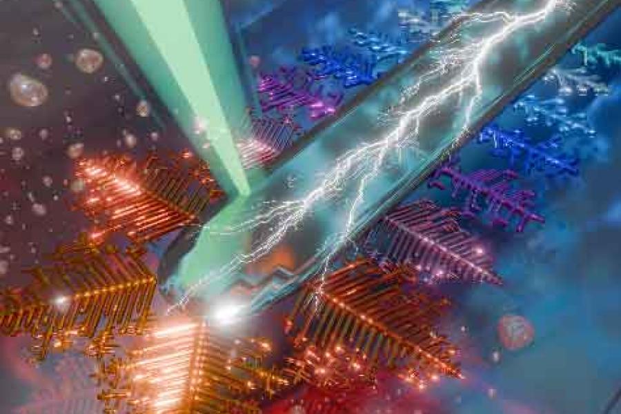 two plank-shapes, one with a stripe and one with a white root shape hover over neon color feather shapes