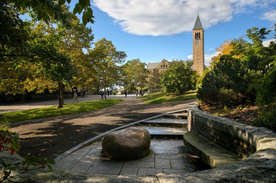 A decorative boulder in a shady stone plaza, with Cornell's McGraw Tower in the background