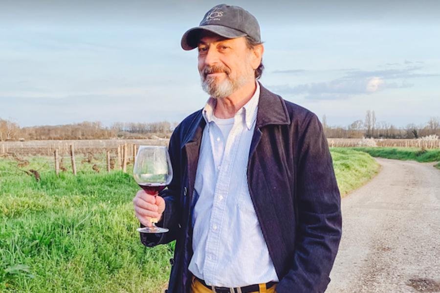 Person standing on th edge of a vineyard, hodling a glass with a little red wine in it
