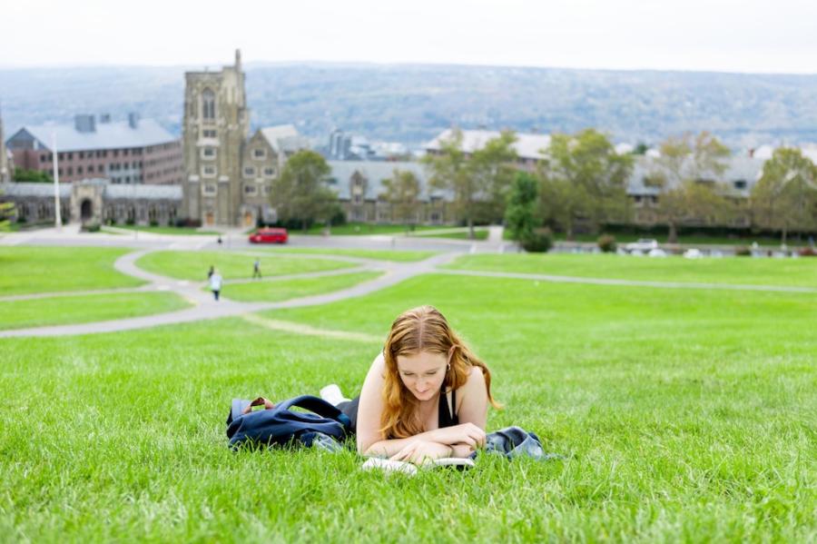 Person reading a book in grass at the top of a hill
