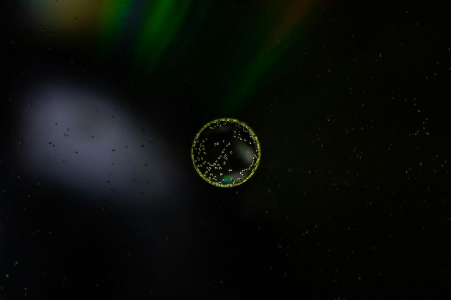 Round formation (a cell), luminescent against a dark background
