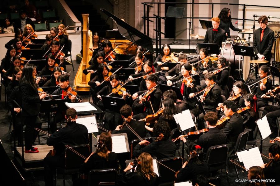 Members of an orchestra playing on a stage