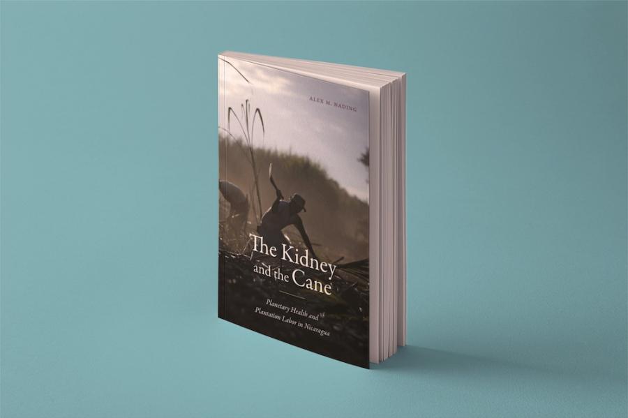 Book cover: The Kidney and the Cane