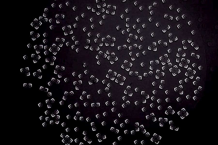 Hundreds of white corner-shaped particles on a black background