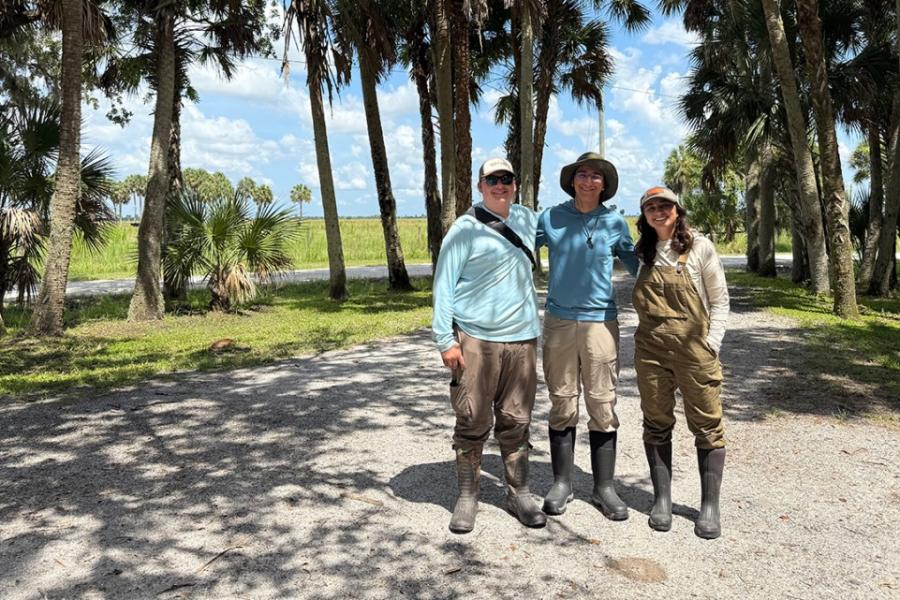 Three people in farm work boots together under palm trees