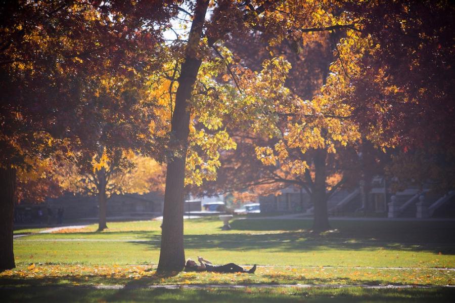 Autumn orange tree with a person lying under it, reading