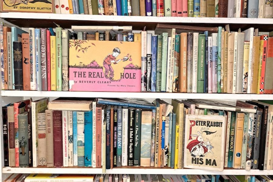 Shelves of children's books