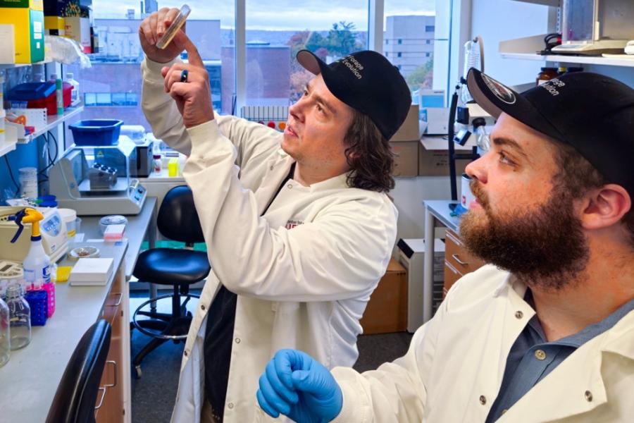 Two people work in a lab, looking up a a tube