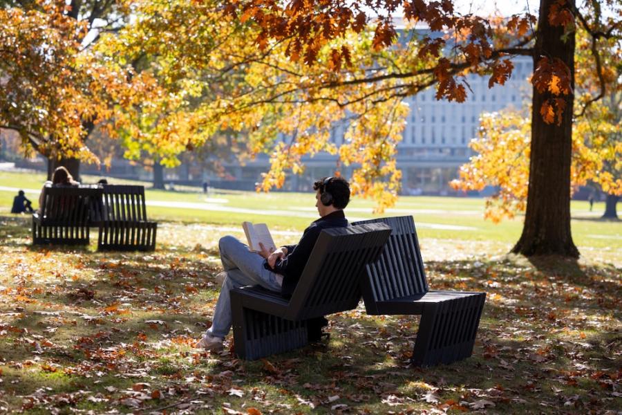 Person sitting on a bench, reading, surrounded by fall leaves on a college campus