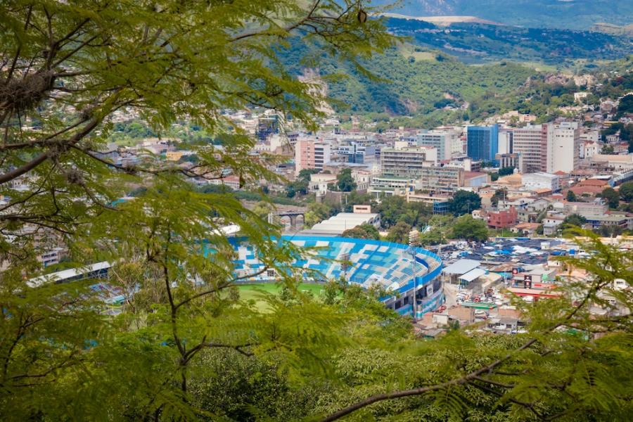 A city seen from a high vantage point, through a foreground of trees