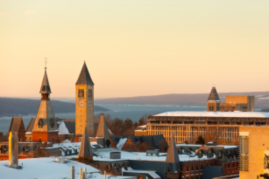 Overlooking a college campus under a yellow sky at dawn