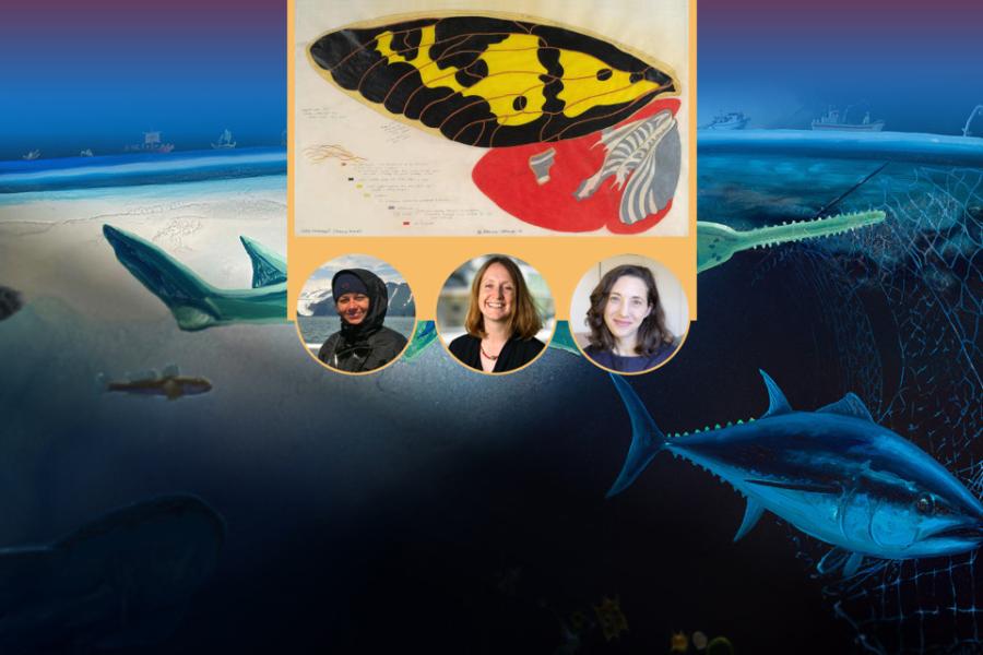 Illustration of underwater scene with three faculty head shots superimposed on it