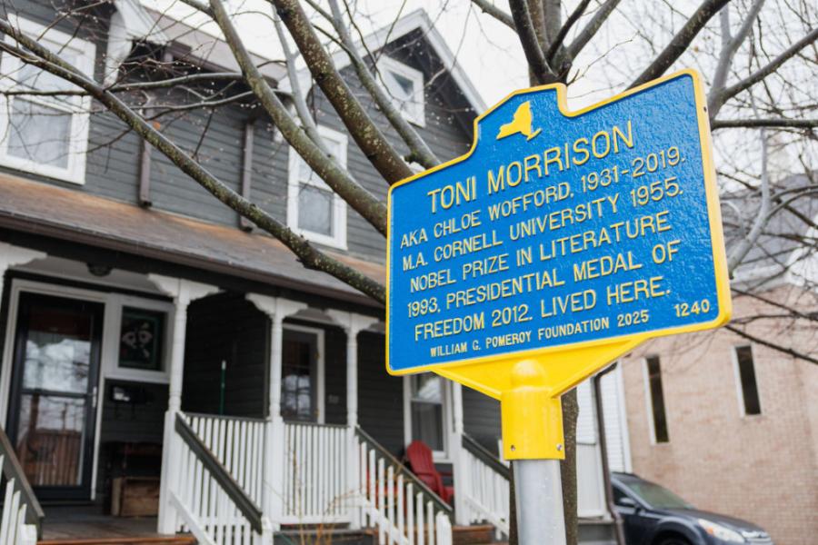 Blue plaque with the title, "Toni Morrison" and a paragraph of text