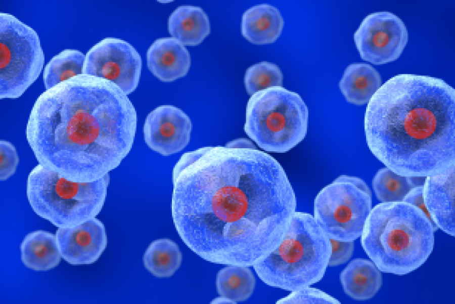 filmy, white globs with red dots in their centers float against a blue background