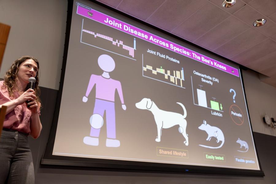 Person holding a microphone near a large screen projecting a slide about "Joint disease across the species"