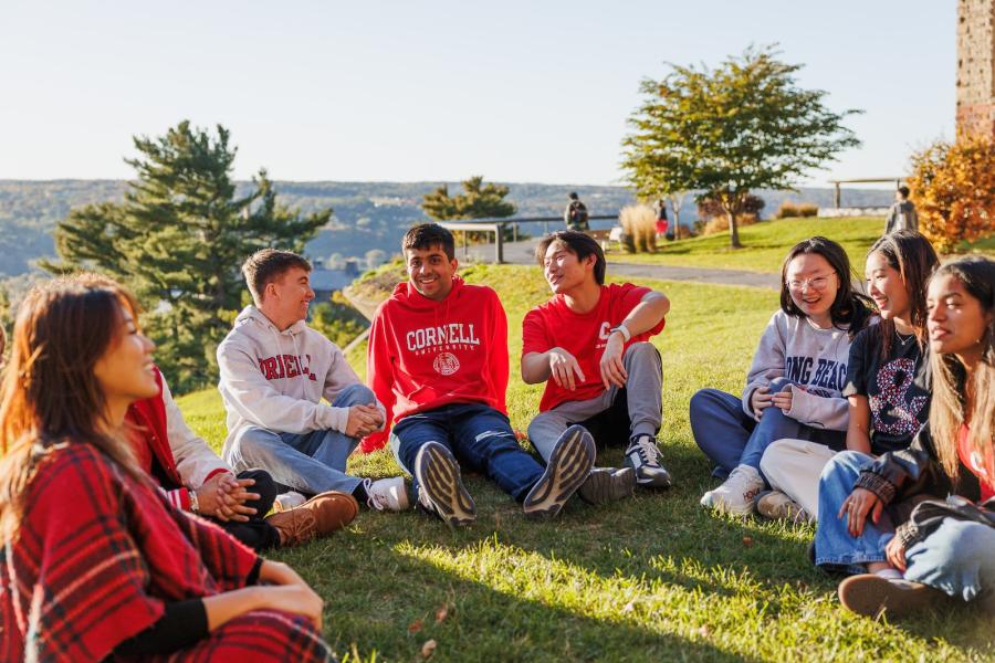 Students sitting on the grass talking