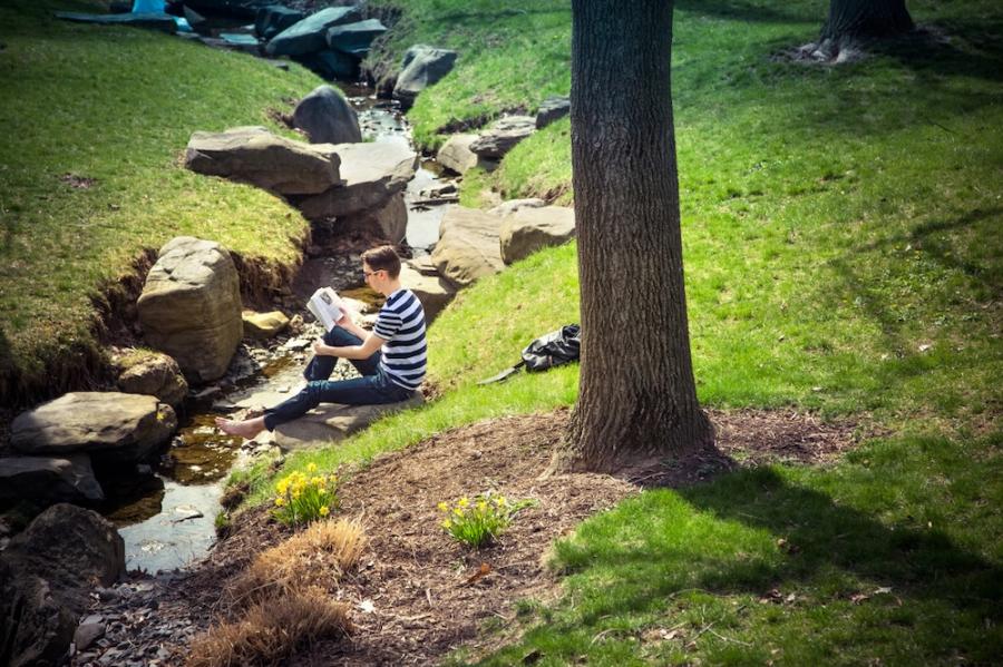 Grassy glade with daffodils, a stream and a person wearing a striped shirt reading a book