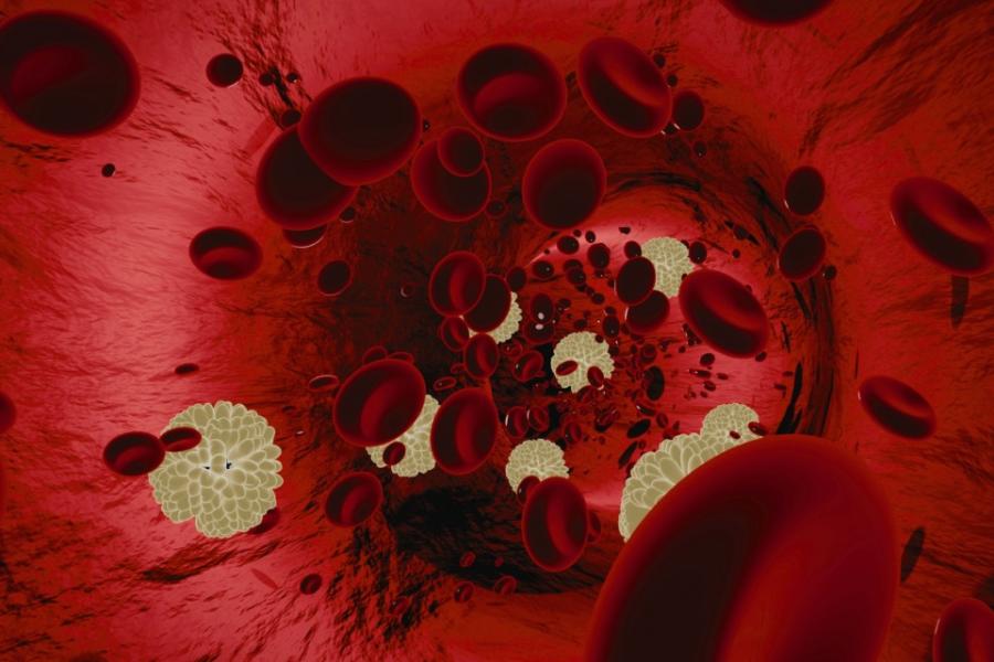 Illustration of blood cells flowing through an artery