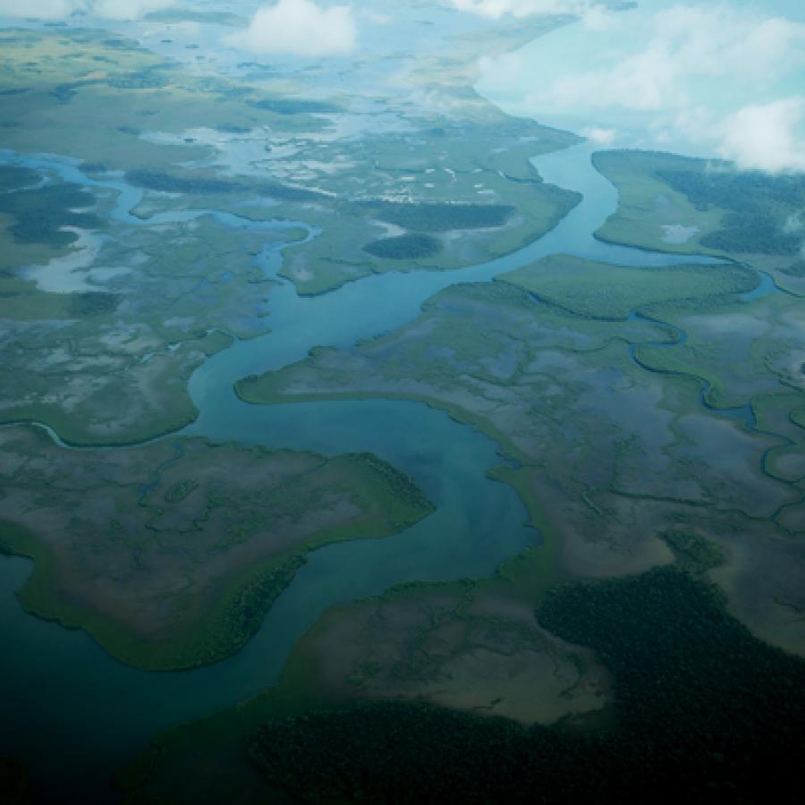 Environment & Sustainability Program