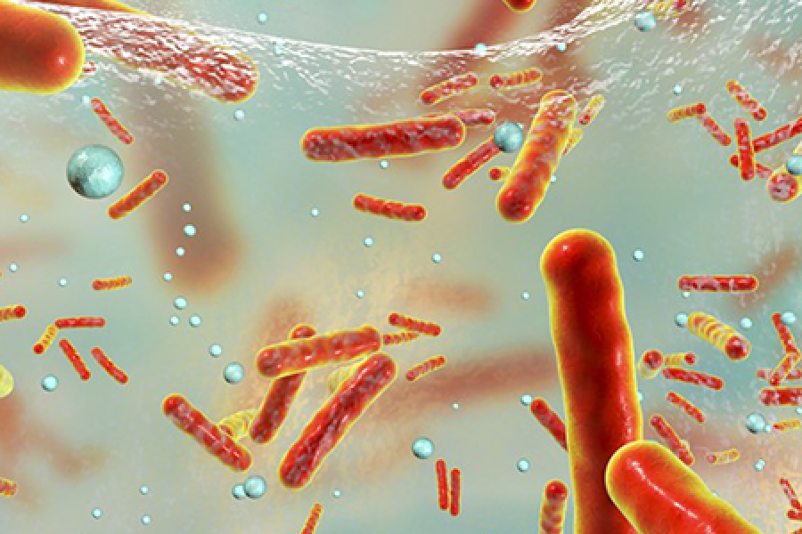 Drawing depiction of antibiotic resistant bacteria in film.
