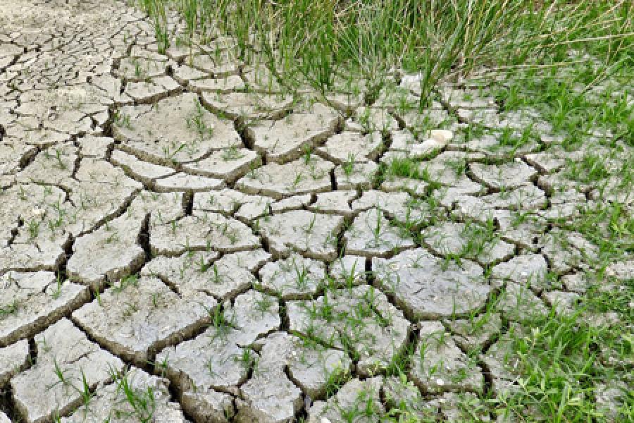  Dried up and cracking river bed