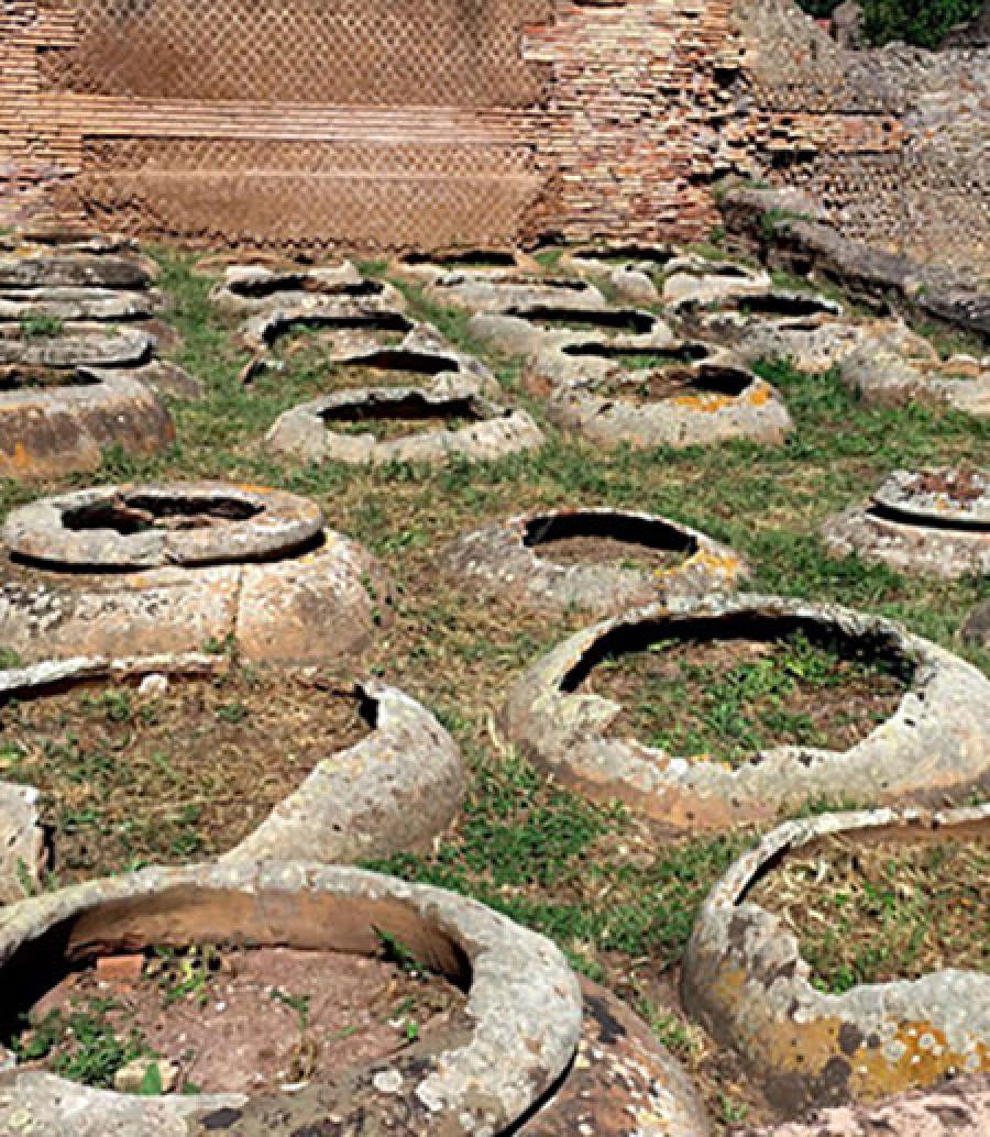  Lines of giant ceramic jars sunken into the earth