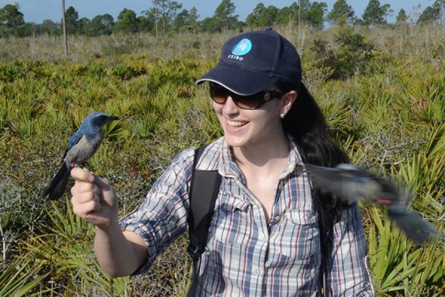 Graduate student Fiona Super with bluejay roosting on finger