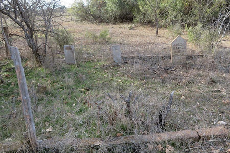 Three old gravestones in a row amidst weeds with trees in the background.