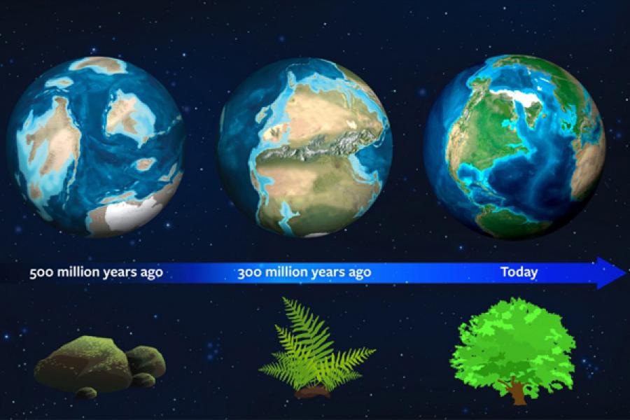 Graphic showing how the planet had a different light signature due to the dominance of moss. 