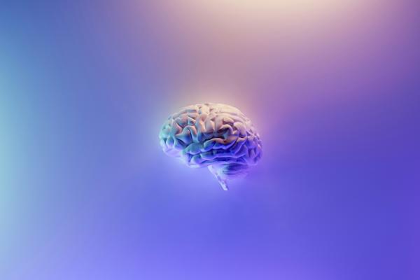 Illustration of a brain against a purple and blue background