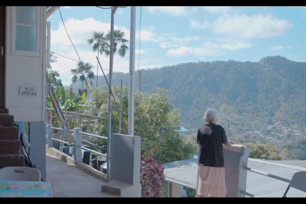 Person standing on a balcony, looking out at a mountain, blue sky and palm trees