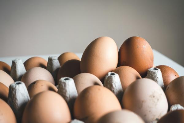 Brown eggs in a cardboard container