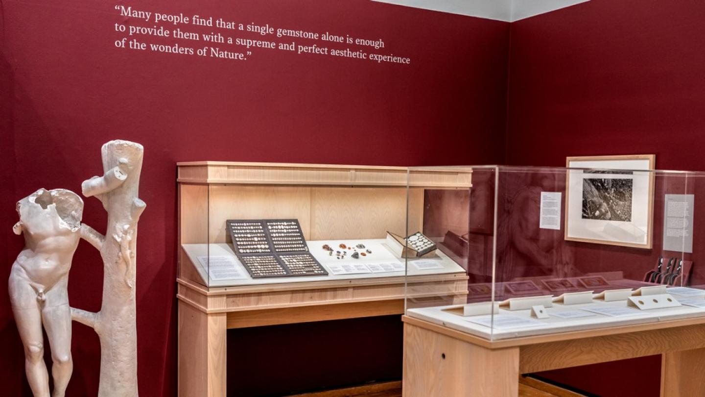 Museum exhibit illuminates Pliny's study of art, nature
