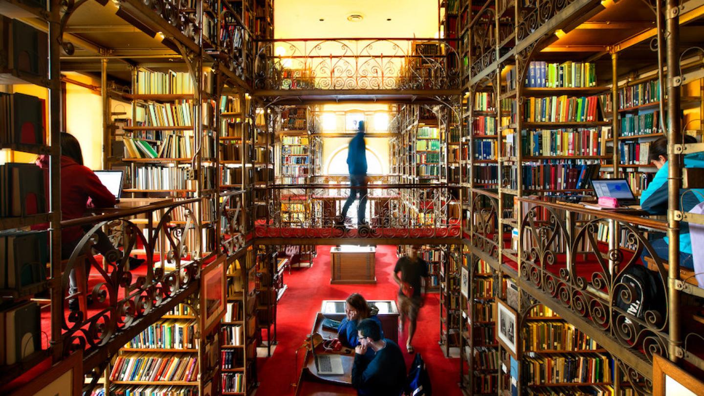 Inside a library full of elaborate book shelves