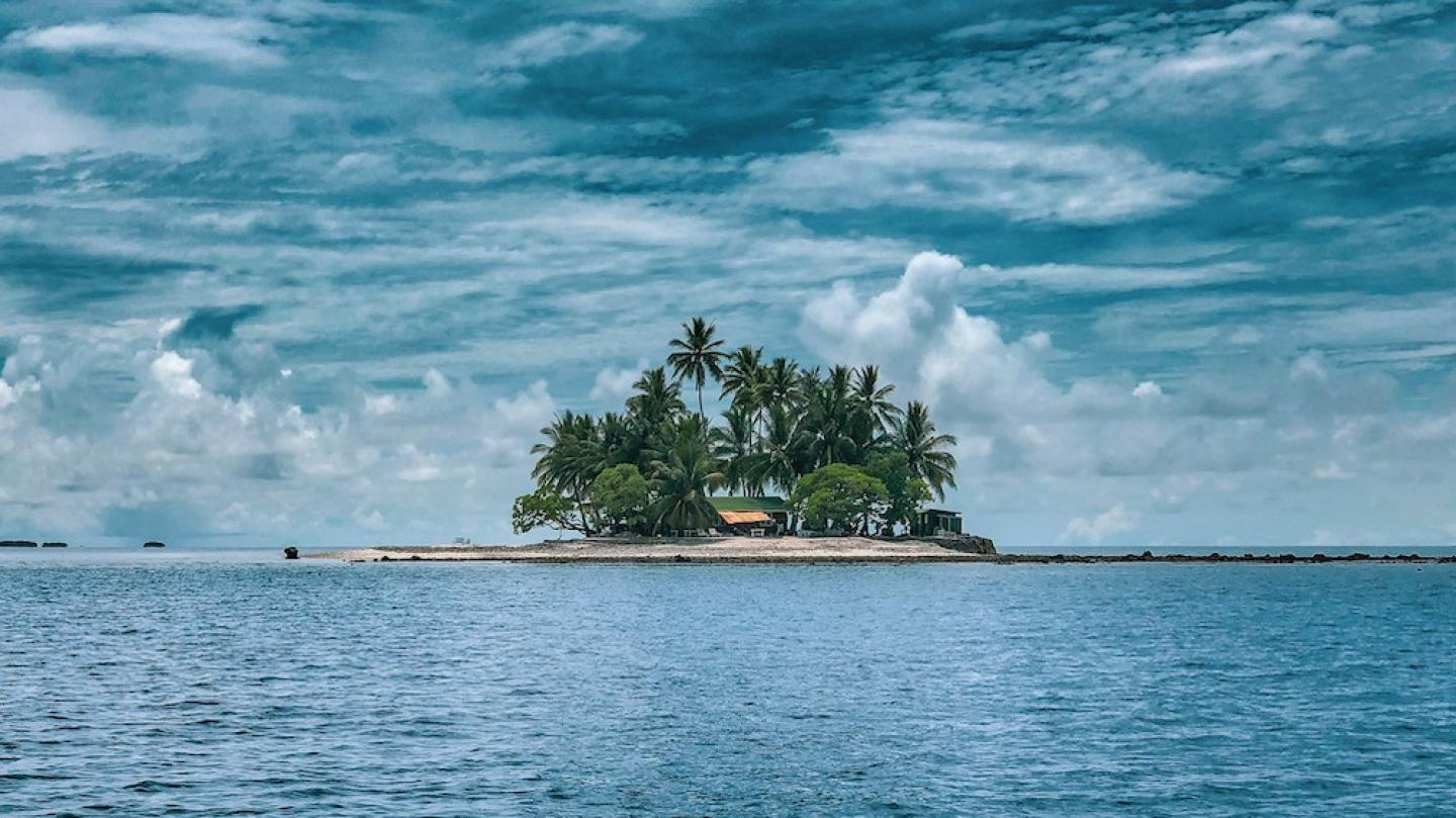 tiny island sprouting palm trees and a few buildings