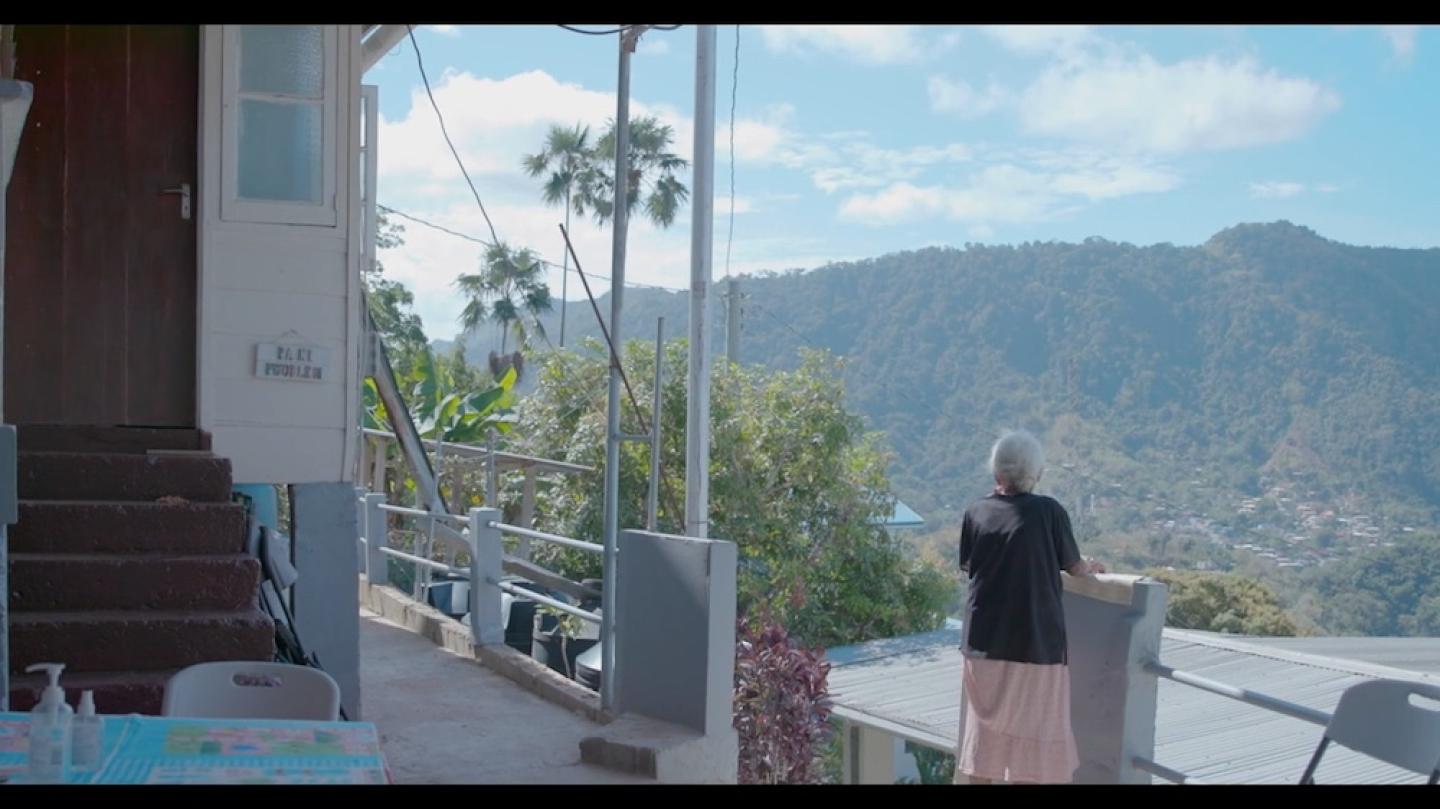 Person standing on a balcony, looking out at a mountain, blue sky and palm trees