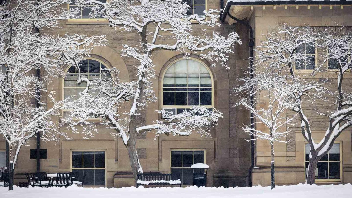 Winter on the quad