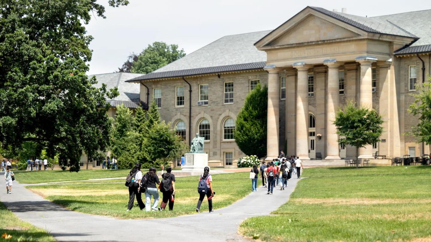 Arts Quad in summer